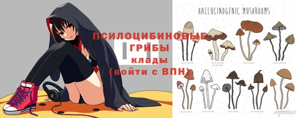 гашик Алексеевка