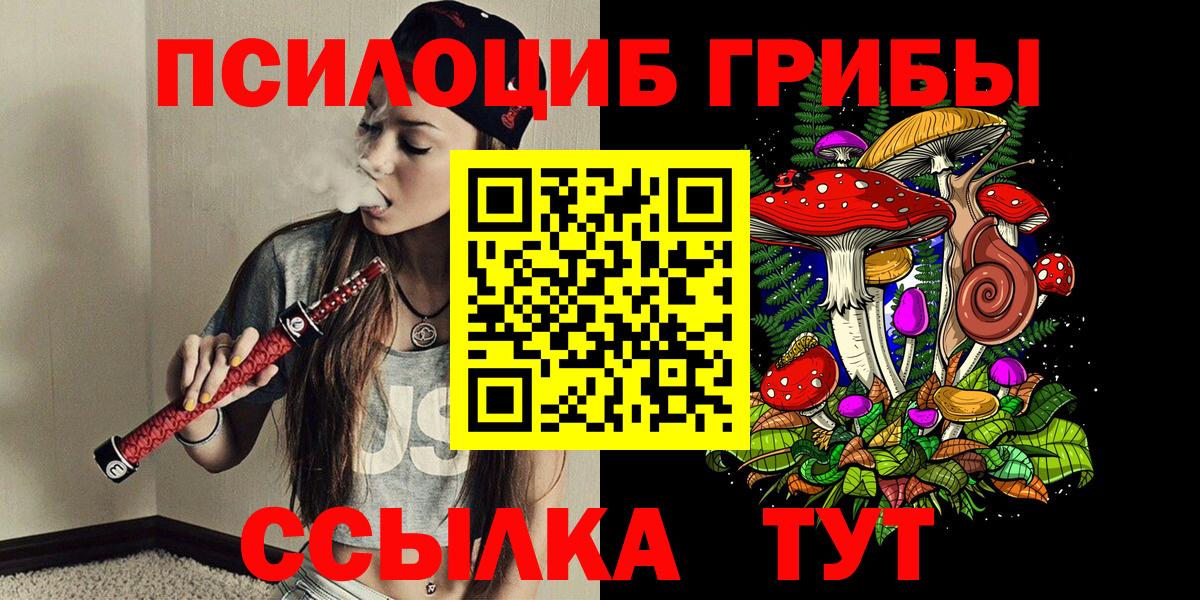 купить наркотик  Псилоцибиновые грибы Psilocybe  Вход с VPN  Ейск 